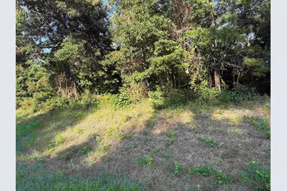 15531 Hwy 135, Overton, TX 75684 - Photo 2