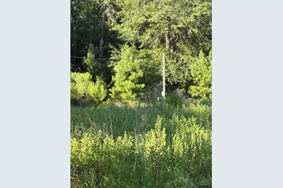 15531 Hwy 135, Overton, TX 75684 - Photo 6