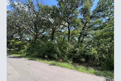 0 Hidalgo Loop, Mabank, TX 75156 - Photo 4