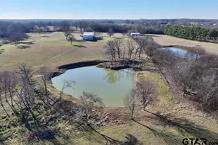 365 Co Rd 1534, Alba, TX 75410 - Photo 8