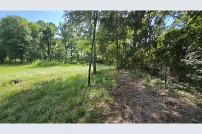 22695 County Road 223, Arp, TX 75750 - Photo 4