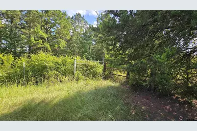 22695 County Road 223, Arp, TX 75750 - Photo 8