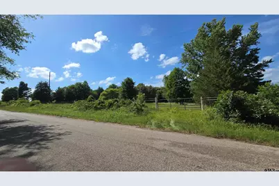 22695 County Road 223, Arp, TX 75750 - Photo 12