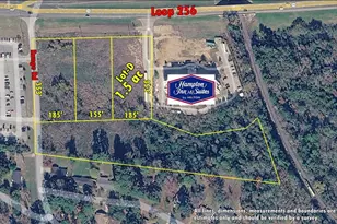 2700 S Loop 256 Lot D, Palestine, TX 75801 - Photo 1