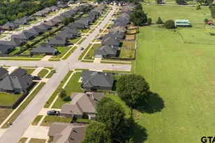 1450 Nate Cir, Bullard, TX 75757 - Photo 22