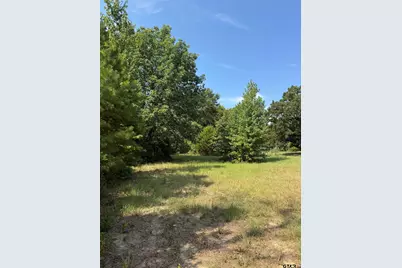 1301 An County Road 3552, Palestine, TX 75803 - Photo 22