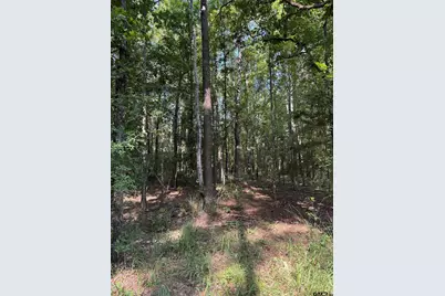1301 An County Road 3552, Palestine, TX 75803 - Photo 16