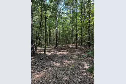 1301 An County Road 3552, Palestine, TX 75803 - Photo 18