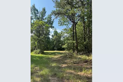1301 An County Road 3552, Palestine, TX 75803 - Photo 26