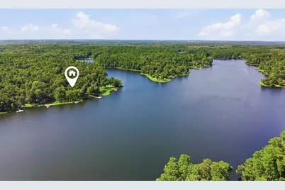 1847 Cr 1596, Avinger, TX 75630 - Photo 46
