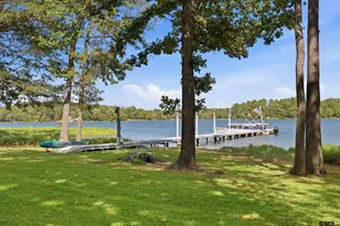 1847 Co Rd 1596, Avinger, TX 75630 - Photo 4