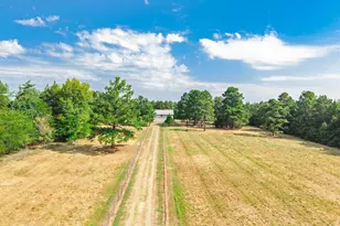 2631 Co Rd 2400, Pickton, TX 75471 - Photo 2