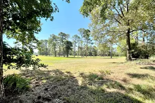 162 Pine Tree, Holly Lake Ranch, TX 75765 - Photo 30