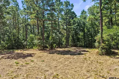 Lot 1 County Road 1240, Pittsburg, TX 75686 - Photo 12