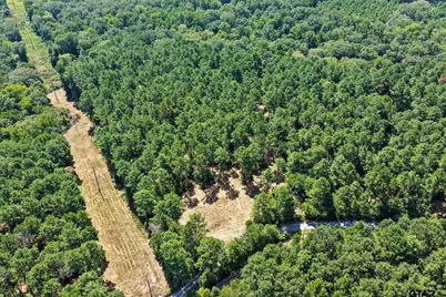 Lot 1 County Road 1240, Pittsburg, TX 75686 - Photo 6