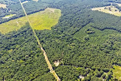 Lot 1 County Road 1240, Pittsburg, TX 75686 - Photo 4