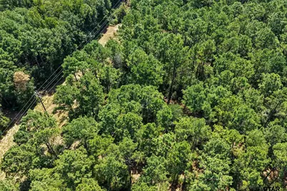 Lot 1 County Road 1240, Pittsburg, TX 75686 - Photo 8