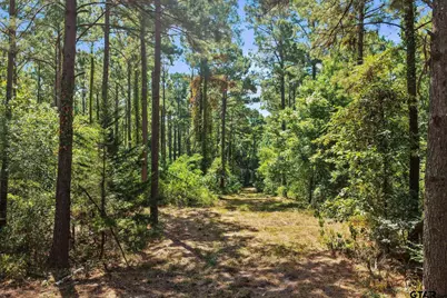 Lot 1 County Road 1240, Pittsburg, TX 75686 - Photo 14
