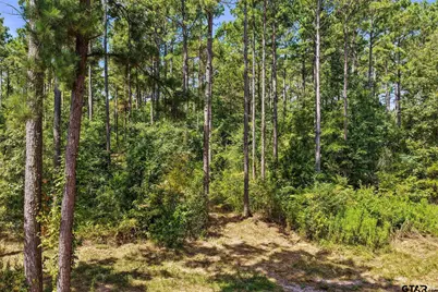 Lot 2 County Road 1240, Pittsburg, TX 75686 - Photo 34