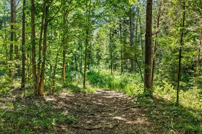 Lot 2 County Road 1240, Pittsburg, TX 75686 - Photo 4
