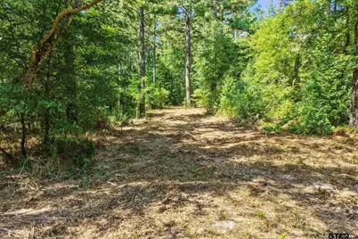 Lot 2 County Road 1240, Pittsburg, TX 75686 - Photo 24
