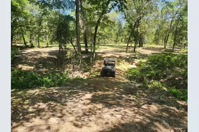 7485 Cr 3913, Athens, TX 75752 - Photo 12