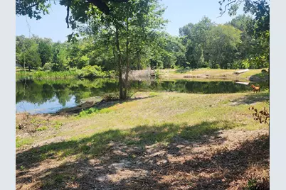 7485 Cr 3913, Athens, TX 75752 - Photo 4