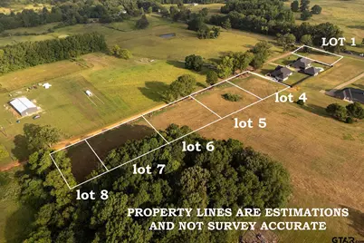 121 County Road 3421 (Lot 1), Bullard, TX 75757 - Photo 2
