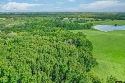 80 +/- Acres Private Road 5317, Grand Saline, TX 75140 - Photo 12