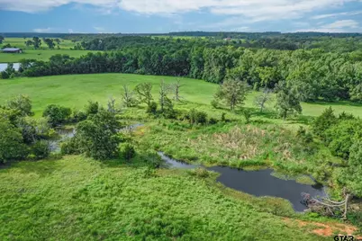 80 +/- Acres Private Road 5317, Grand Saline, TX 75140 - Photo 14