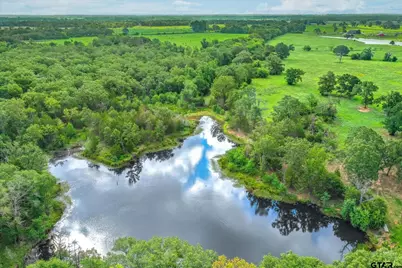 80 +/- Acres Private Road 5317, Grand Saline, TX 75140 - Photo 2