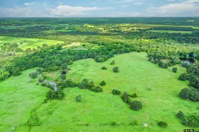 80 +/- Acres Private Road 5317, Grand Saline, TX 75140 - Photo 20