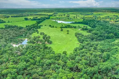 80 +/- Acres Private Road 5317, Grand Saline, TX 75140 - Photo 6