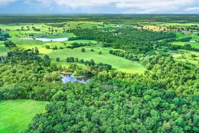80 +/- Acres Private Road 5317, Grand Saline, TX 75140 - Photo 24