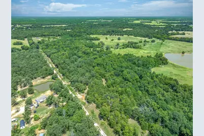 80 +/- Acres Private Road 5317, Grand Saline, TX 75140 - Photo 22