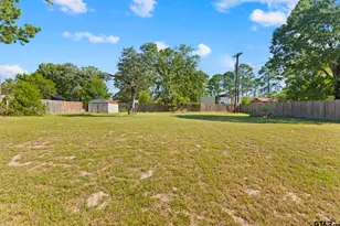 477 Co Rd 2425, Mineola, TX 75773 - Photo 6