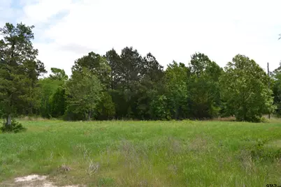 Tbd Hwy 69, Alba, TX 75410 - Photo 10