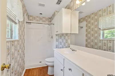 19393 County Road 2176, Whitehouse, TX 75791 - Photo 12