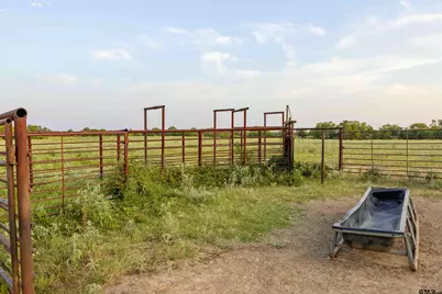 Tbd Cr 3356, Saltillo, TX 75478 - Photo 6