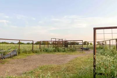 Tbd Cr 3356, Saltillo, TX 75478 - Photo 4