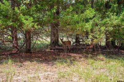 1640 Cr 3194, Frankston, TX 75763 - Photo 36