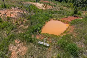4437 FM 1801, Mineola, TX 75773 - Photo 12