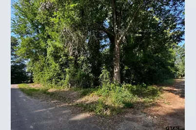 Tbd County Road 2177, Quitman, TX 75783 - Photo 1