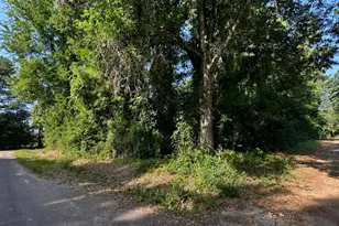 Tbd County Road 2177, Quitman, TX 75783 - Photo 1