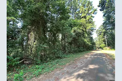 Tbd County Road 2177, Quitman, TX 75783 - Photo 4