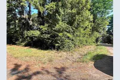 Tbd County Road 2177, Quitman, TX 75783 - Photo 6