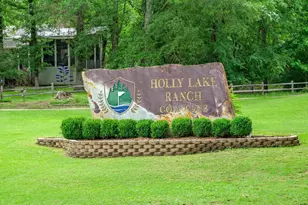 190 Blue Water Ln, Holly Lake Ranch, TX 75765 - Photo 44