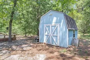 190 Blue Water Ln, Holly Lake Ranch, TX 75765 - Photo 34