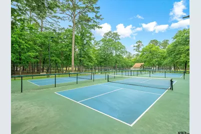 190 Blue Water Lane, Holly Lake Ranch, TX 75765 - Photo 46
