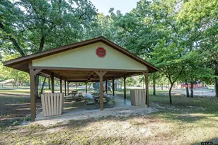 190 Blue Water Ln, Holly Lake Ranch, TX 75765 - Photo 48
